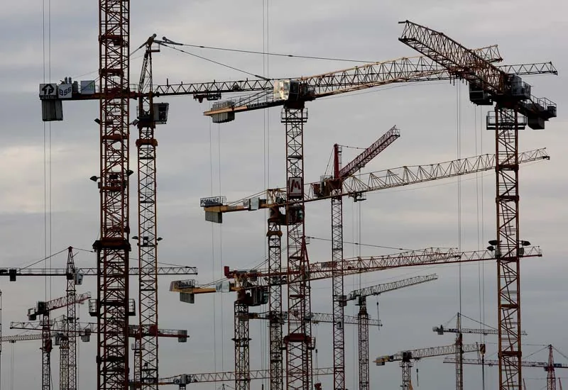 Grues par dizaines